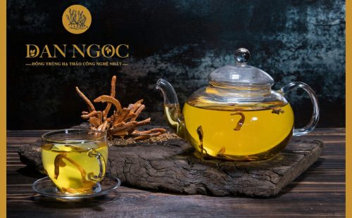 THỰC HƯ PHƯƠNG PHÁP HỖ TRỢ ĐIỀU TRỊ UNG THƯ VỚI ĐÔNG TRÙNG HẠ THẢO